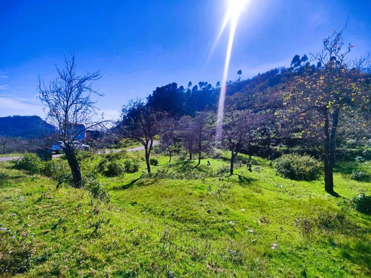Salora Kodai 코다이카날 외부 사진