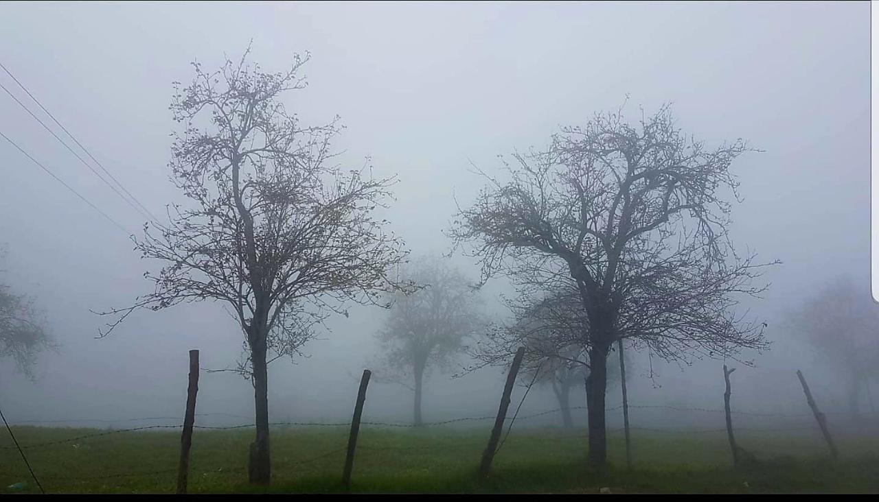 Salora Kodai 코다이카날 외부 사진