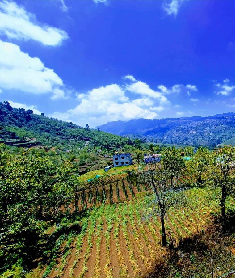 Salora Kodai 코다이카날 외부 사진